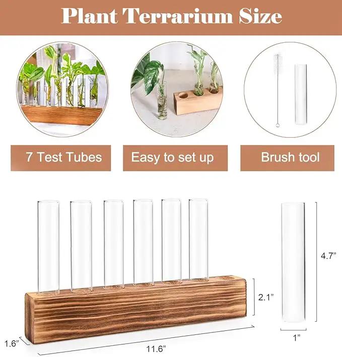 KAXYEW Plant Terrarium with Wooden Stand, Plant Propagation Tubes, 7 Test Tubes Glass Planter for Hydroponic Plant Cuttings Home Office Décor by GreenHaven Gardens