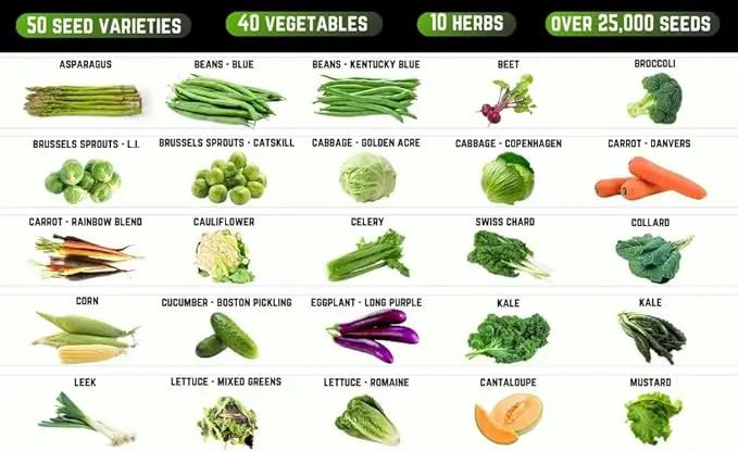 50 Vegetable & Herb Seeds Variety Pack - 25,000 Seeds - Long-Term Storage - Non-GMO Heirloom Open-Pollinated Gardening Seeds for Planting Vegetables & Herbs - Waterproof Packaging by GreenHaven Gardens