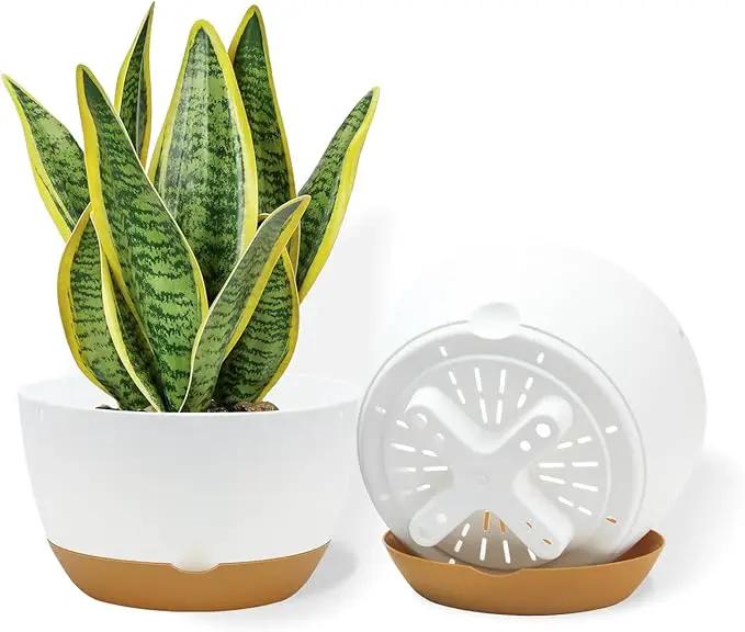 8 Inch Pots for Indoor Plants, Self Watering Planters with Drainage and Saucers, Plastic Outdoor Flower Pot, Set of 2, White by GreenHaven Gardens