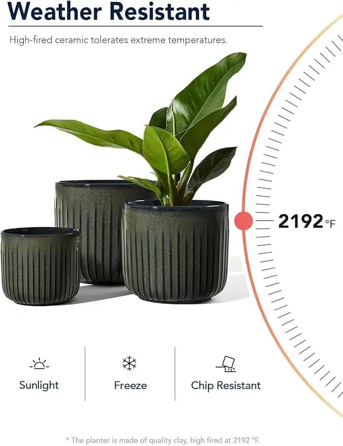 LE TAUCI Ceramic Planters for Indoor Plants, 8.3+6.9+5.7 inch Plant Pots with Drainage Holes, Cylinder Flower Pot for Indoor House Plant, Set of 3, Glaze Dark Olive by GreenHaven Gardens