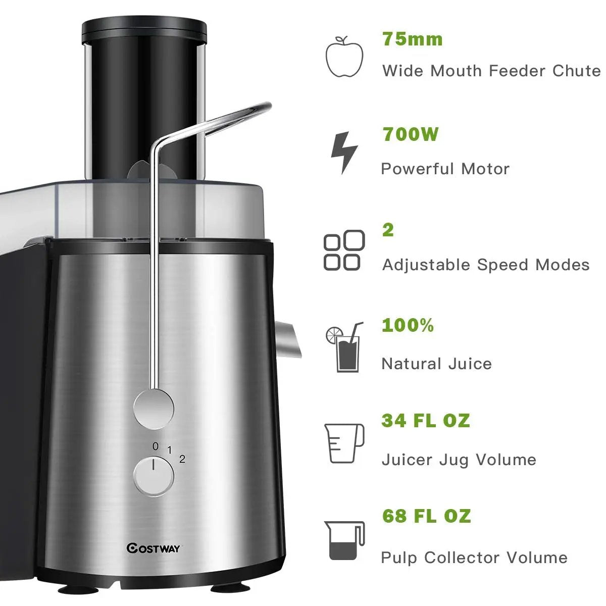2 Speed Electric Juice Press for Fruit and Vegetable by DirectDeals