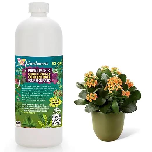 Premium Liquid Indoor Plants Fertilizer - 3-1-2 Concentrate for Indoor Plants and Flowers by Gardenera | Organic Plant Food for Indoor Plants - 32oz by GreenHaven Gardens