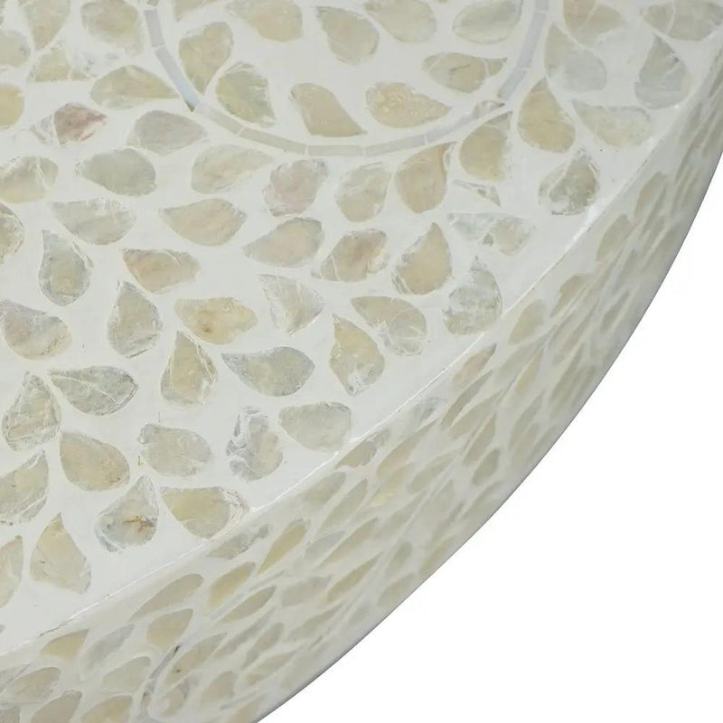 Unique Capiz Coffee Table & Pedestal Base by HouseOfZazla