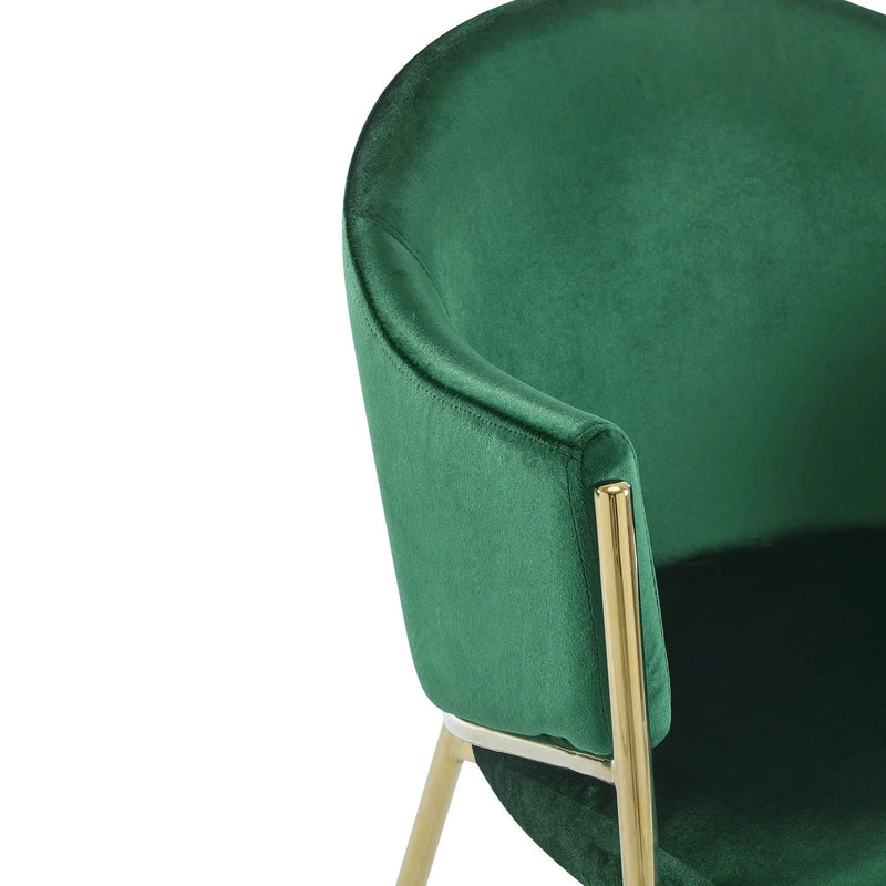 Modern Upholstered Dining Chair with Gold Metal Frame by HouseOfZazla