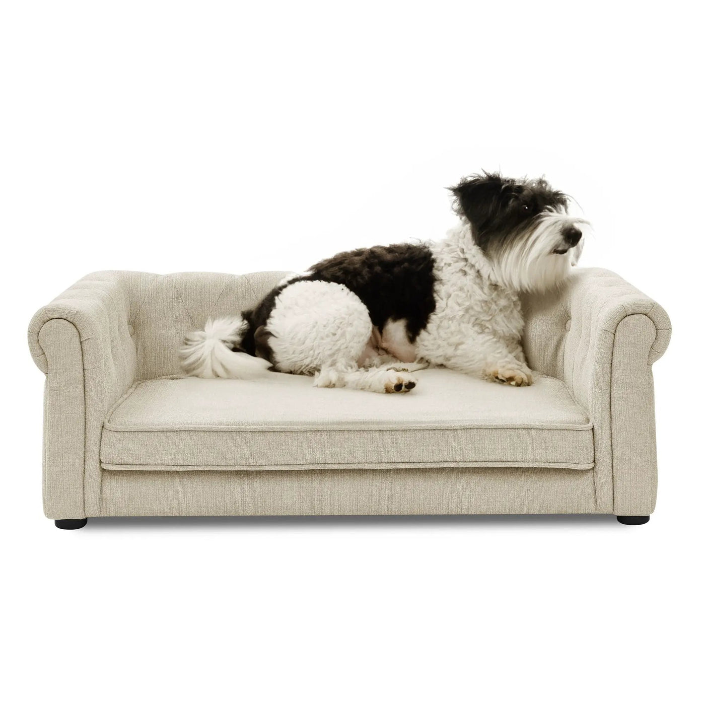 Modern Elegant Rectangle Pet Bed, Durable Elevated Dog Sofa by HouseOfZazla