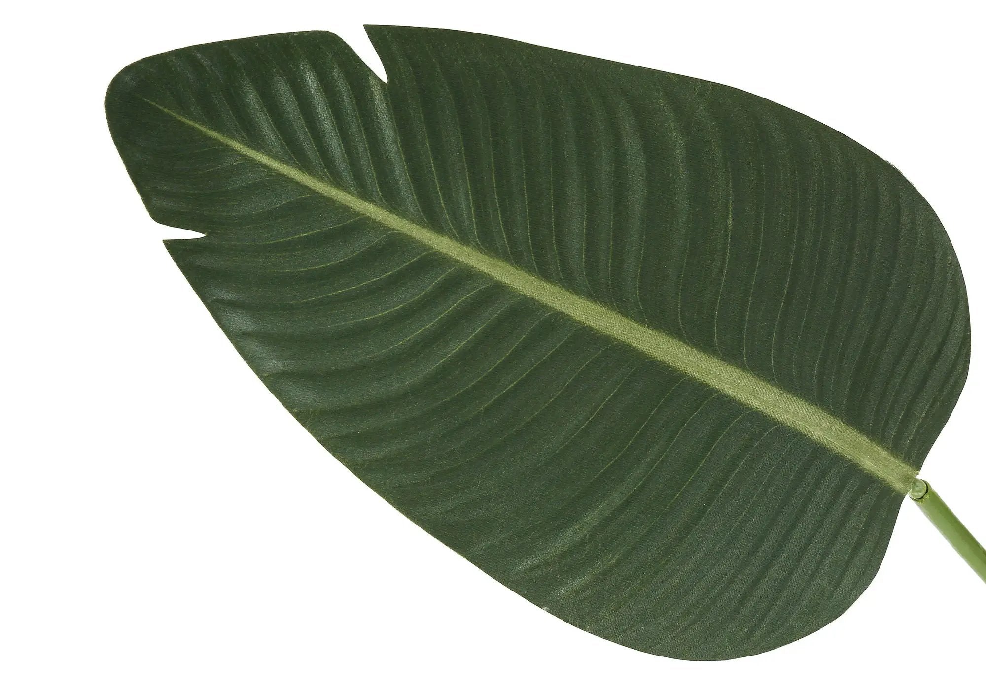 60" Tall, Artificial Plant, Bird Of Paradise Tree, Indoor, Faux, Fake, Floor, Greenery, Potted, Decorative - Green / Black by Unique Piece Furniture