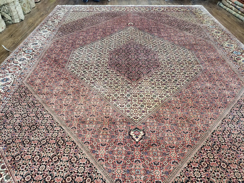 Stunning Persian Bijar Rug 8x11 - Herati Mahi Pattern by Jewel Rugs