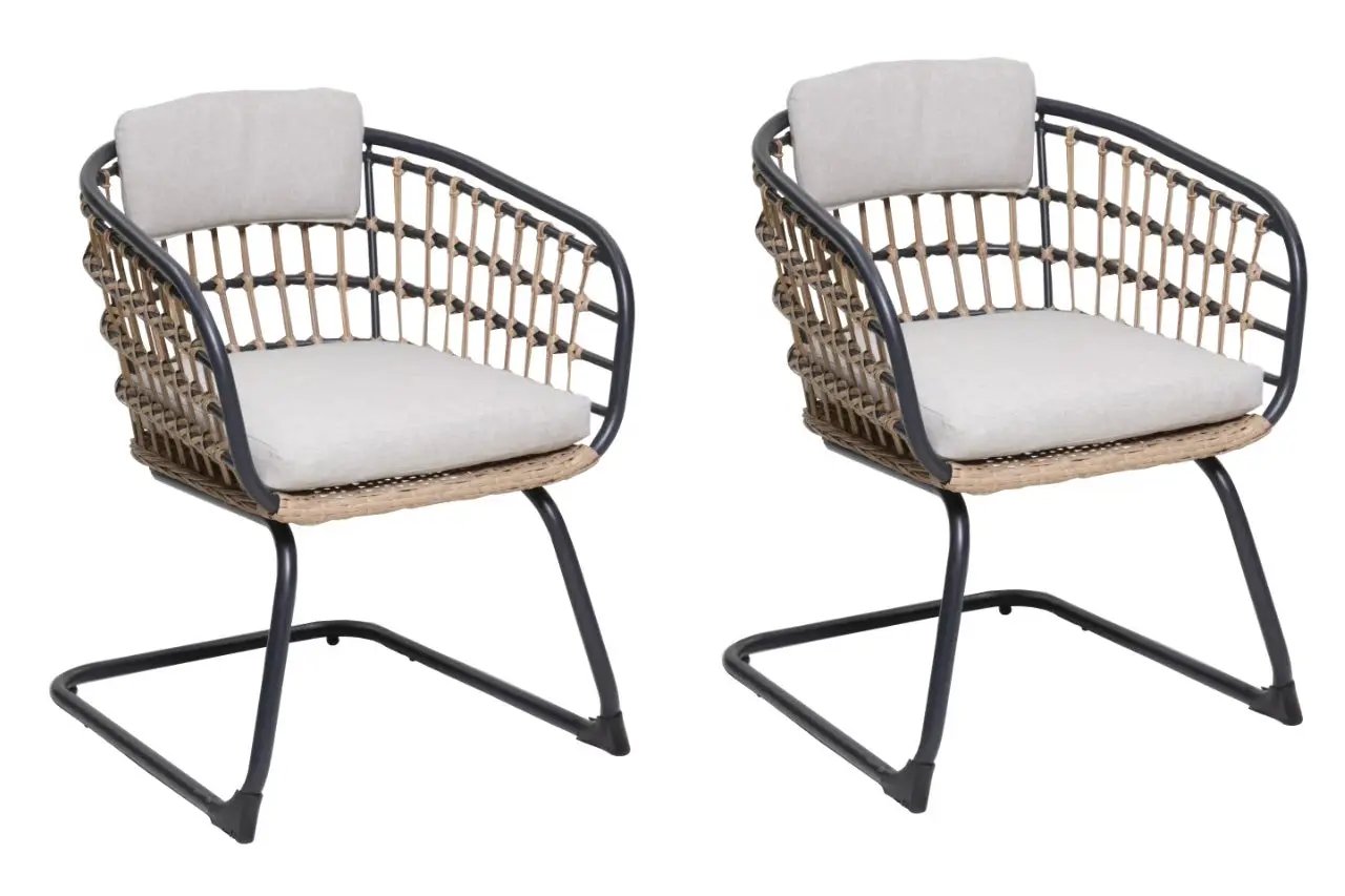 Wicker Dining Chair Set of 2 by HouseOfZazla