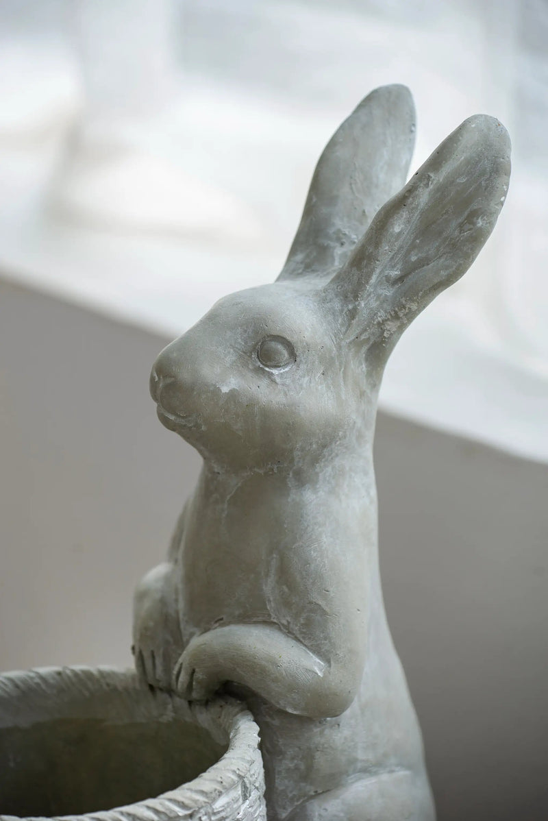 Meridian Trade Co Decorative Cement Rabbit Planter by HouseOfZazla