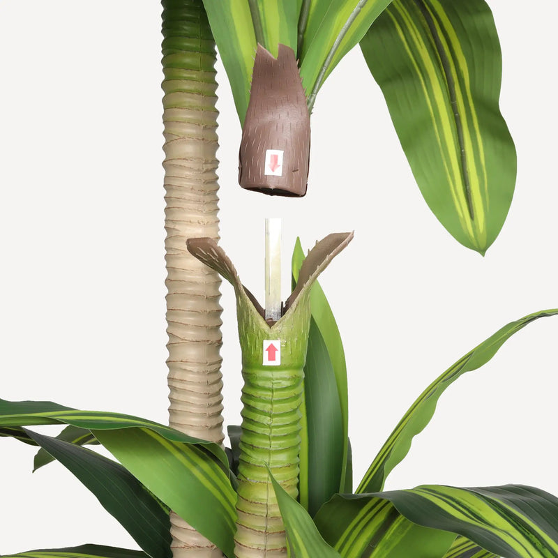 6' Artificial Dracaena Tree by HouseOfZazla