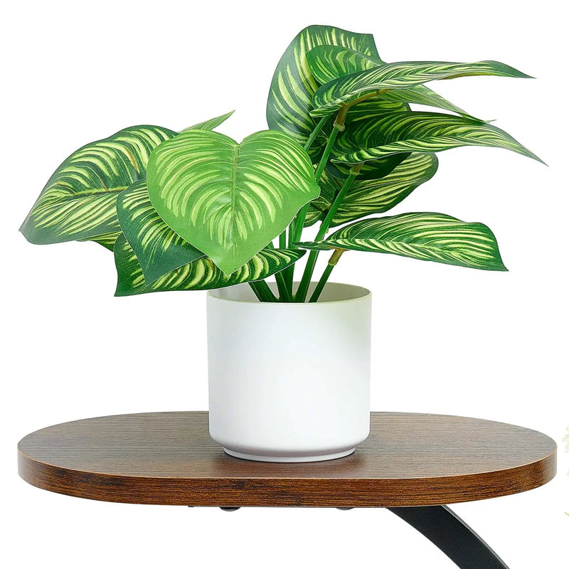 Plant Stand Indoor with Grow Lights - 62 in Tall 8-Tier Lighted Shelf by HouseOfZazla