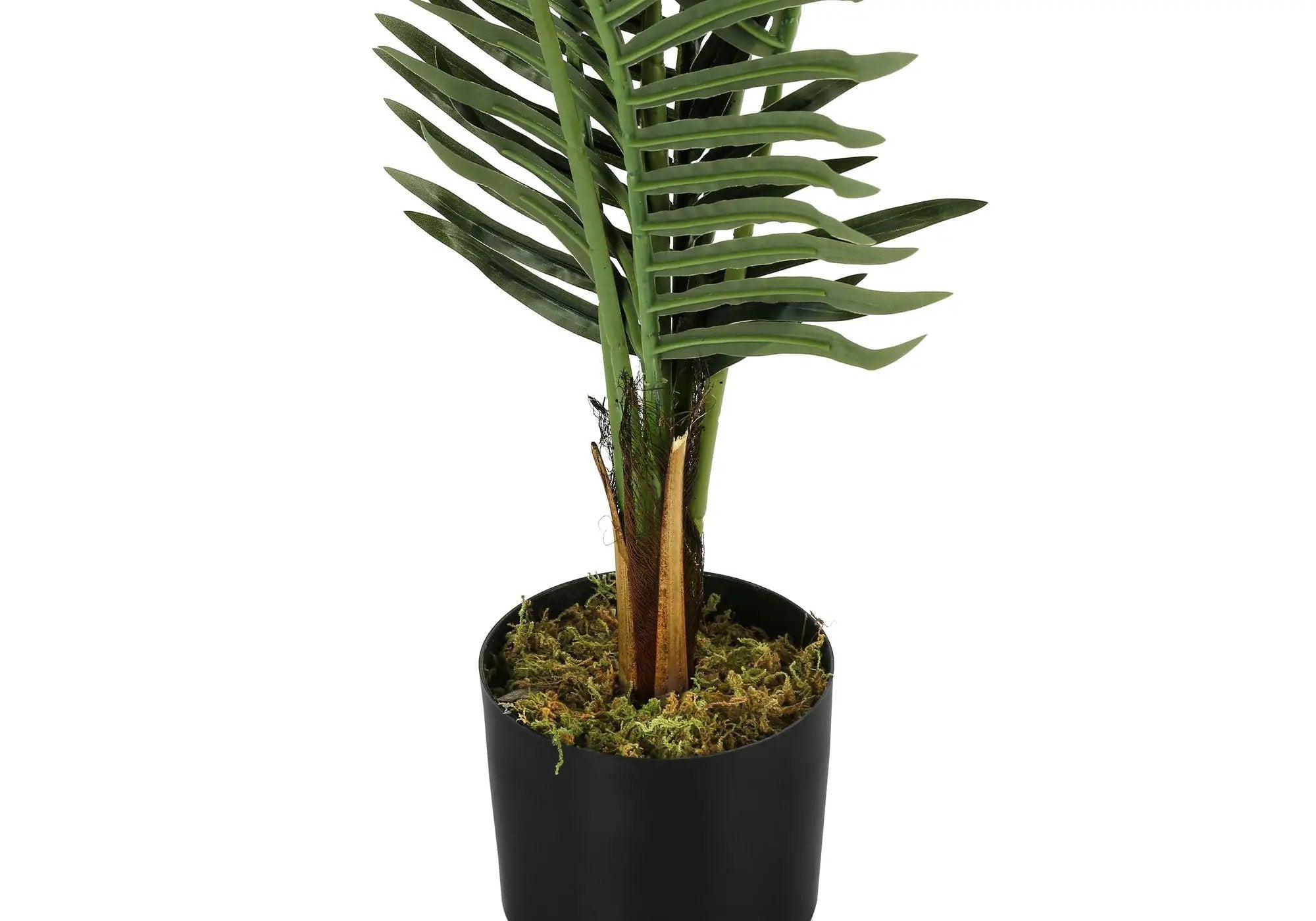 47" Tall, Artificial Plant, Palm Tree, Indoor, Faux, Fake, Floor, Greenery, Potted, Real Touch, Decorative - Green / Black by Unique Piece Furniture
