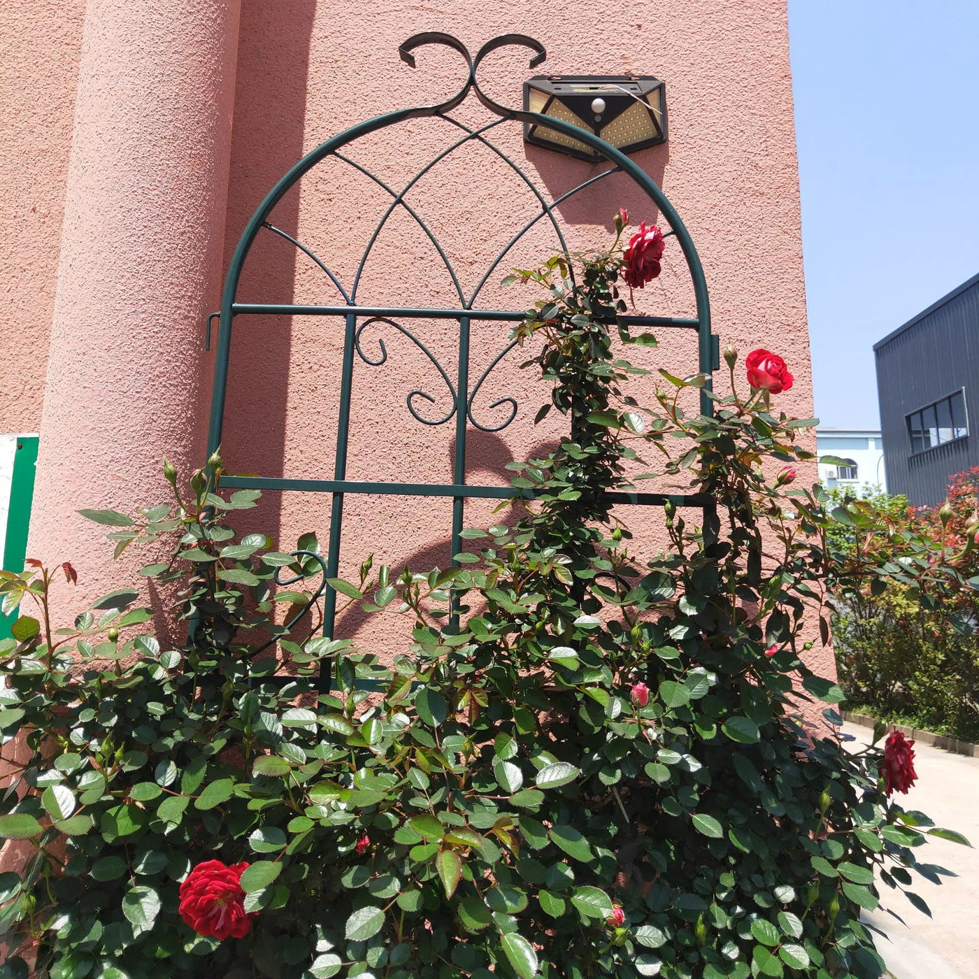 Metal Garden Rustproof Trellis For Climbing Plants Outdoor Flower Support by Unique Piece Furniture
