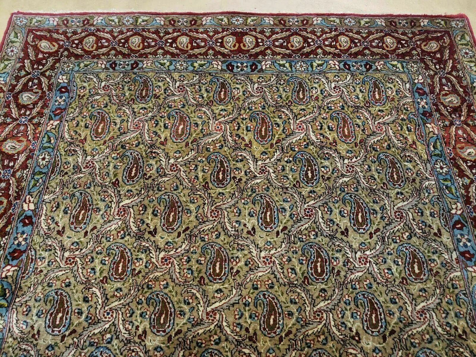 4' X 7' Handmade Turkish Wool Rug Paisley Hand Knotted Flowers One Of A Kind by Jewel Rugs