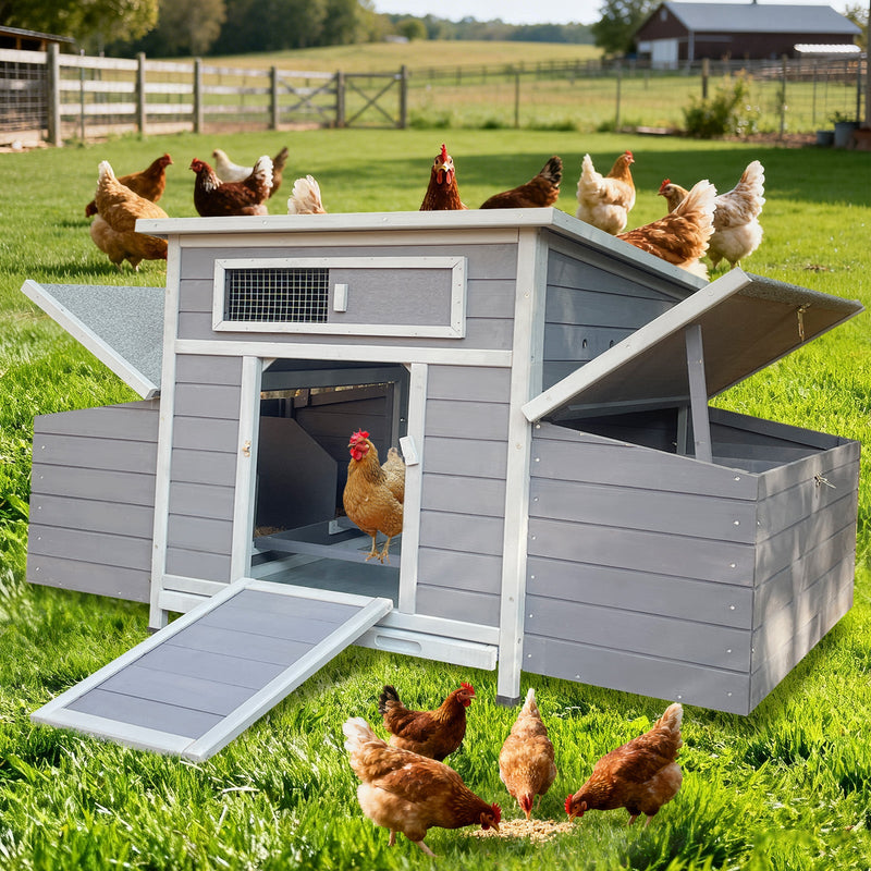 Large Wooden Chicken Coop Outdoor Hen House with Nesting Boxes by HouseOfZazla