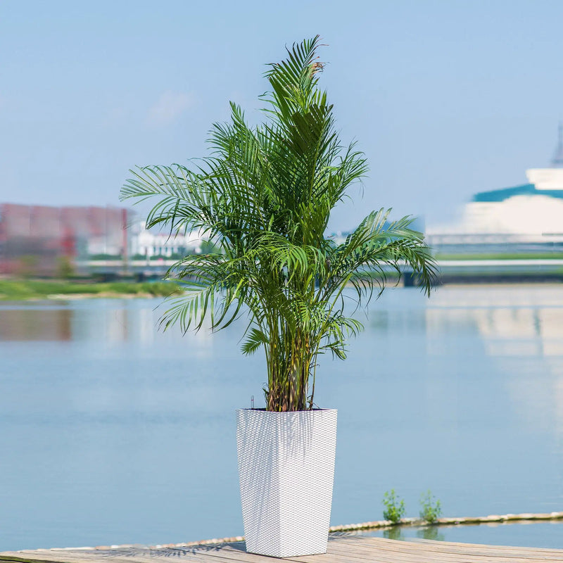 Indoor Outdoor Planter With Automatic Watering System by HouseOfZazla