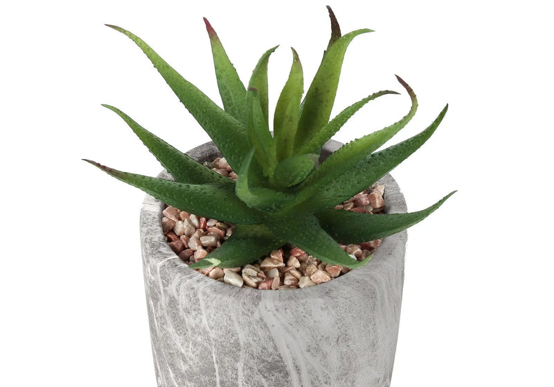 6" Tall, Artificial Plant, Succulent, Indoor, Faux, Fake, Table, Greenery, Potted, Decorative (Set of 2) - Green / Gray by Unique Piece Furniture