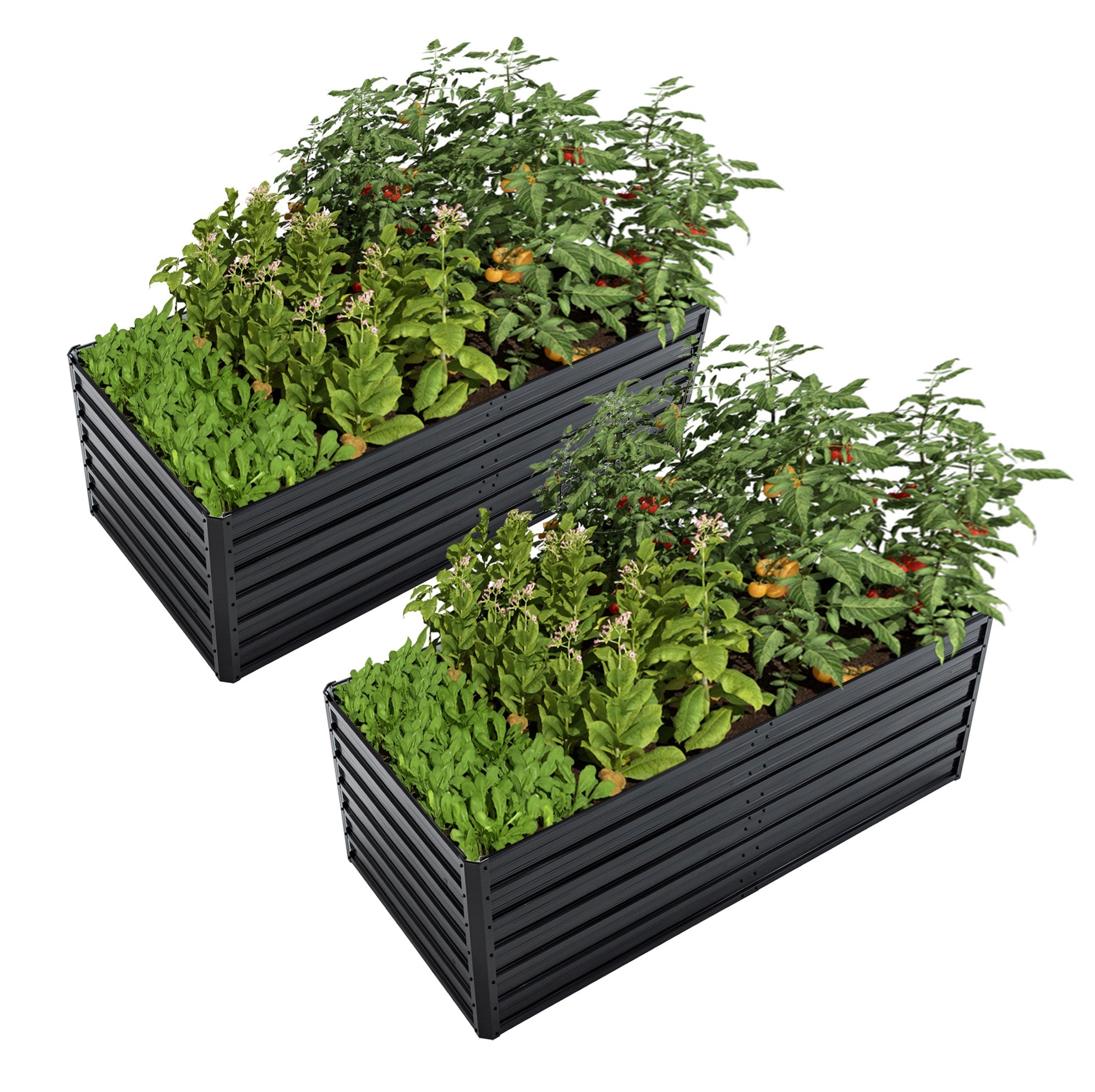 2-Pack 6x3x2 FT Galvanized Metal Raised Garden Beds by HouseOfZazla
