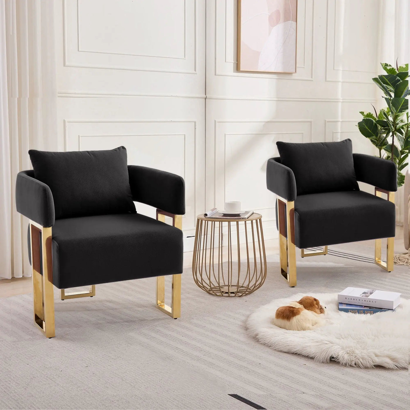Modern Classic Decorative Chair with Teddy Fleece Upholstery by HouseOfZazla