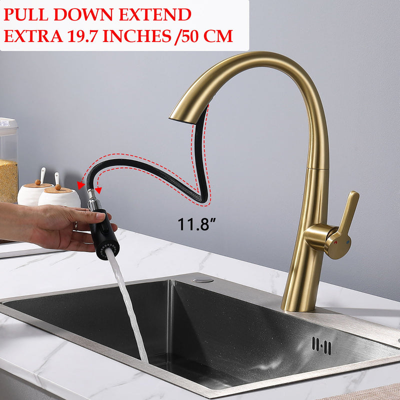 Elegant Single Handle Stainless Steel Pull Out Kitchen Faucet With High Arch Spout by HouseOfZazla