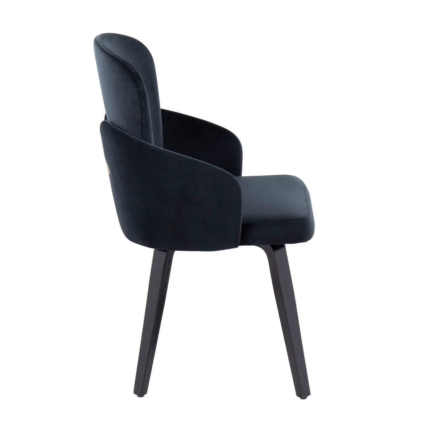 Dahlia - Contemporary Elegant Dining Chair (Set of 2) by HouseOfZazla