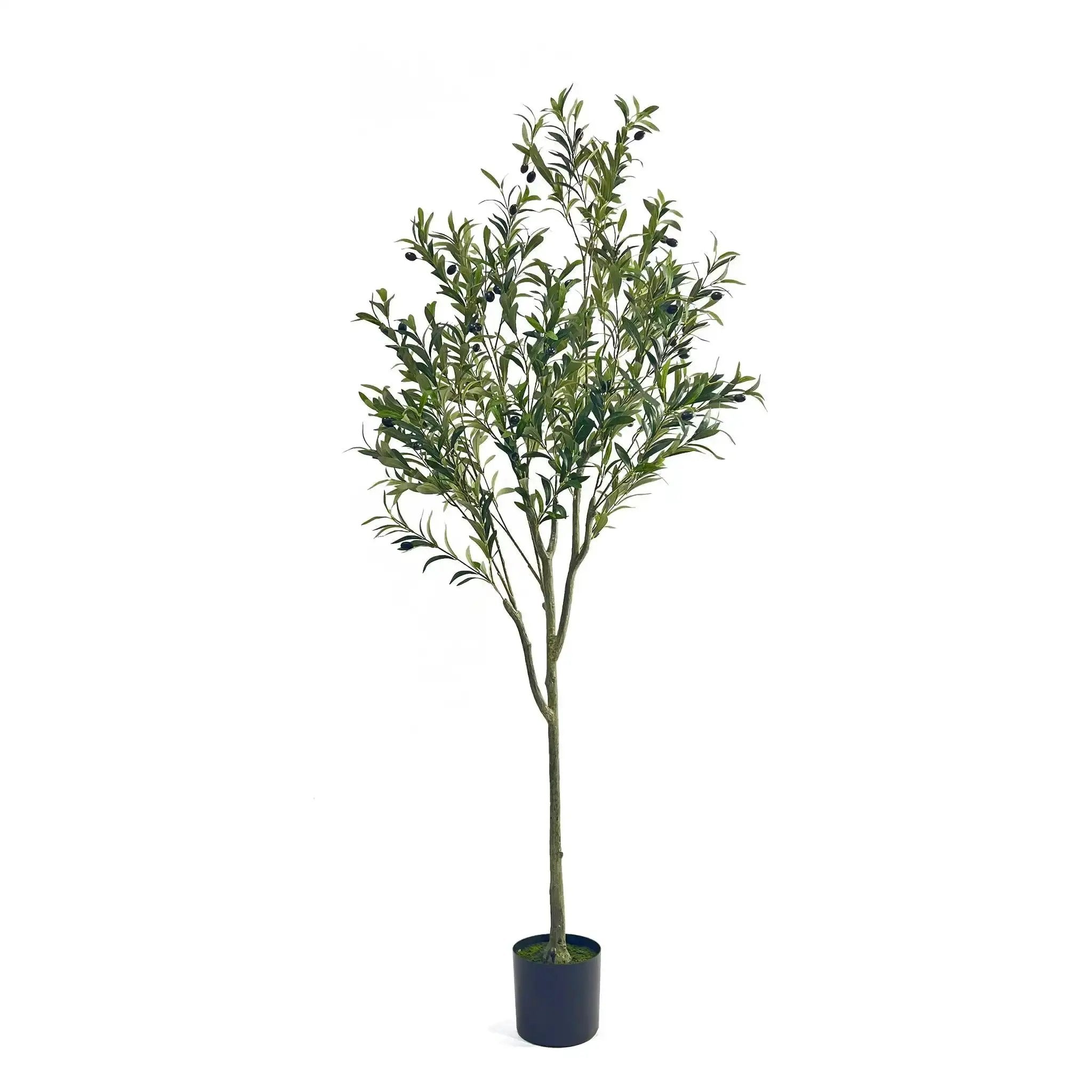 Artificial Olive Tree by HouseOfZazla