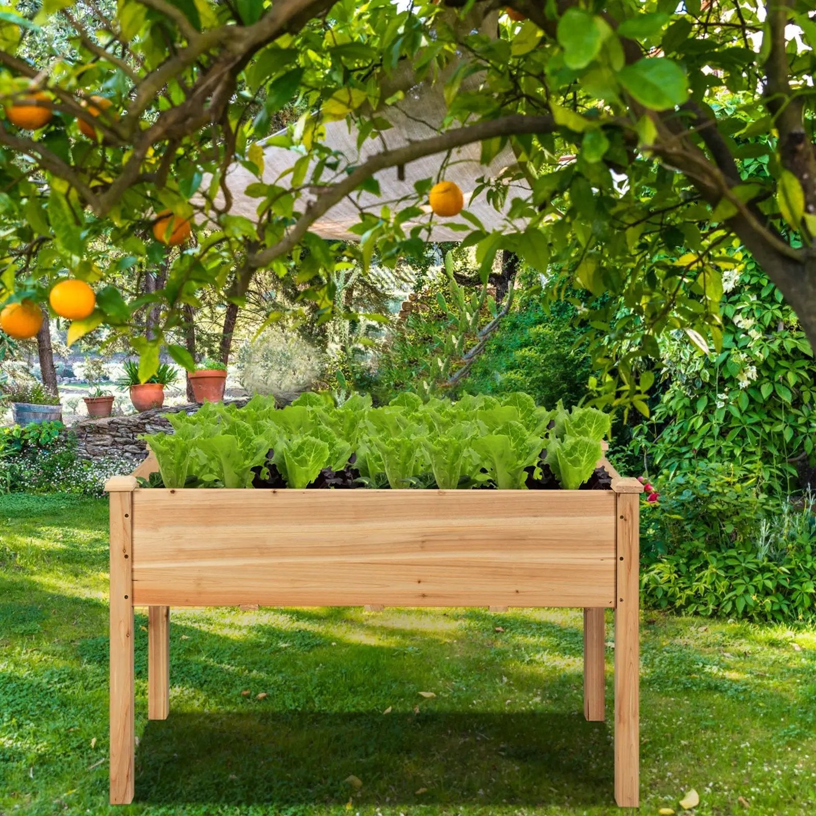 Wooden Raised Vegetable Garden Bed Elevated Grow Vegetable Planter by DirectDeals