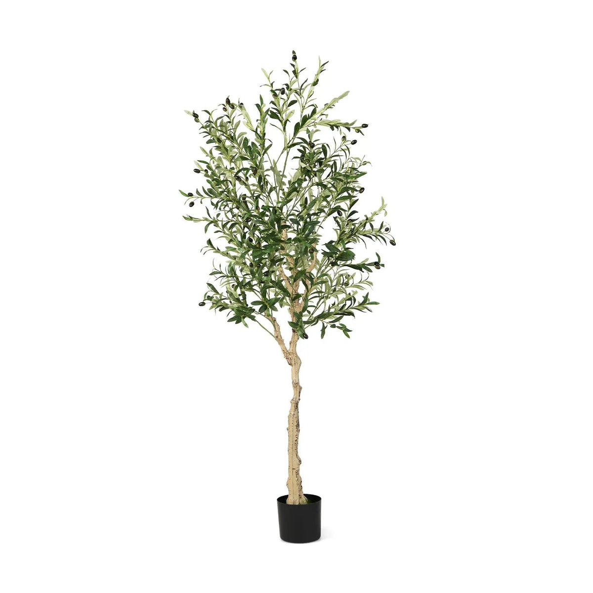 6 Feet Artificial Olive Tree in Cement Pot, photo 9 of 9