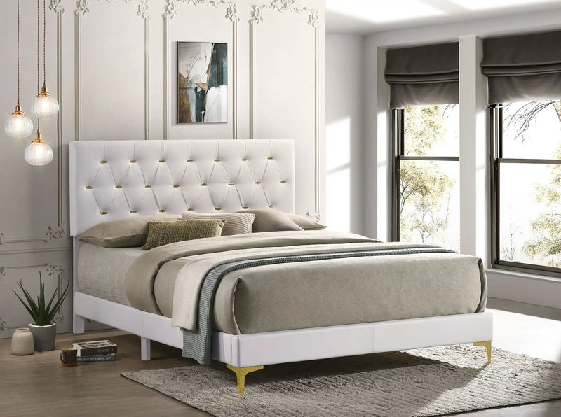 Kendall Upholstered Queen Panel Bed White by Unique Piece Furniture