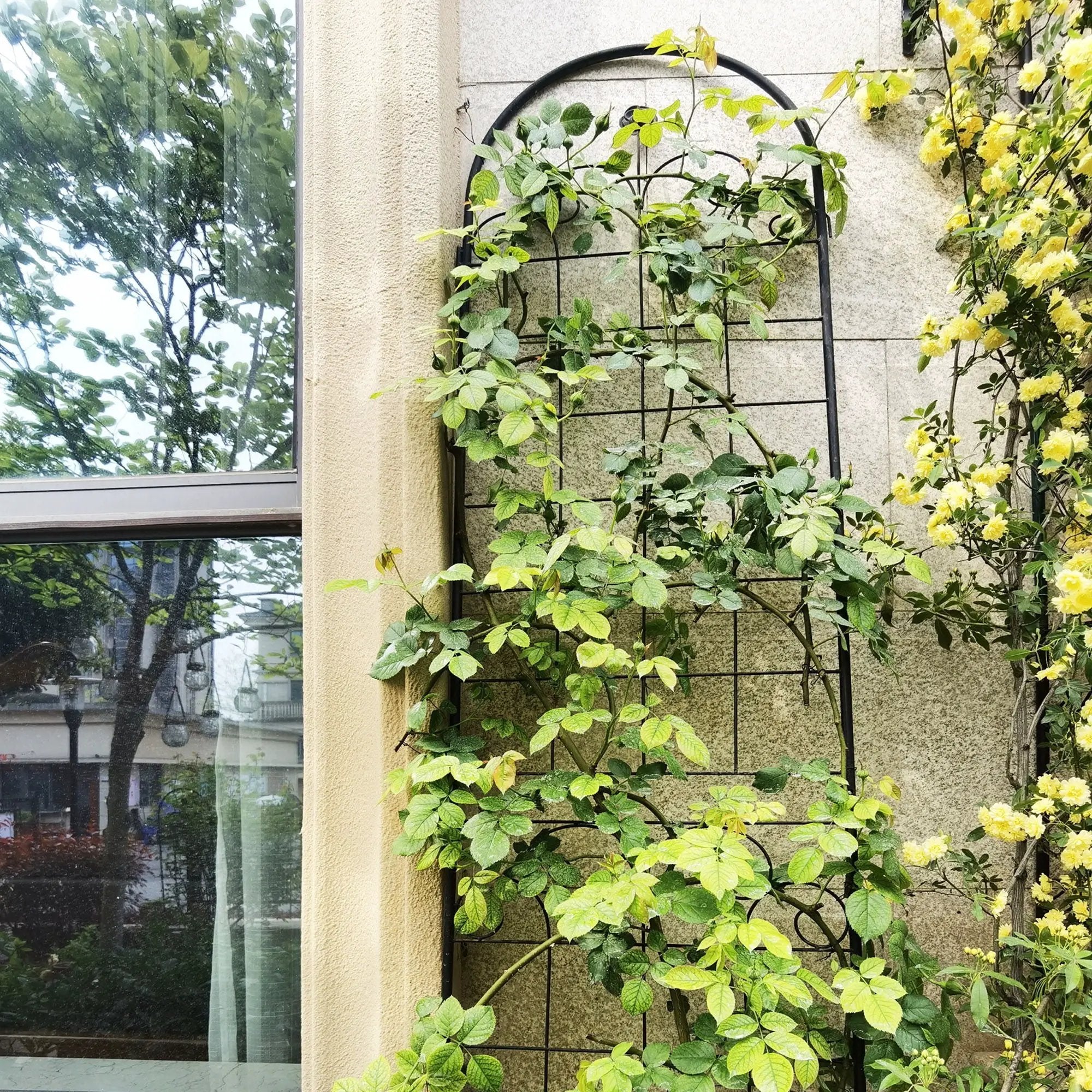 Metal Garden Trellis For Climbing Plants Outdoor Rustproof Plant Support Rose Trellis Netting Trellis by HouseOfZazla