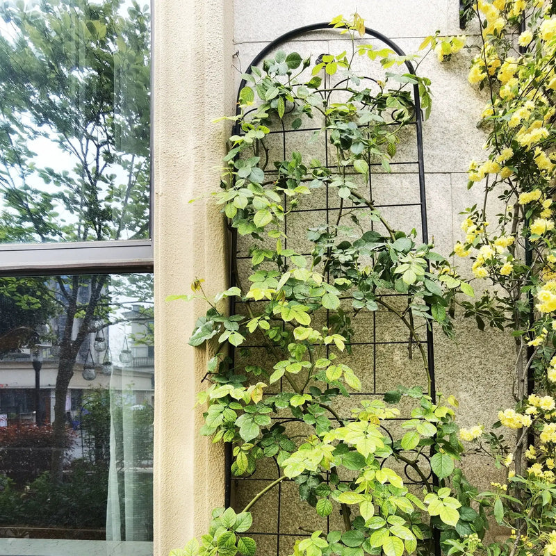 Metal Garden Trellis For Climbing Plants Outdoor Rustproof Plant Support Rose Trellis Netting Trellis by HouseOfZazla