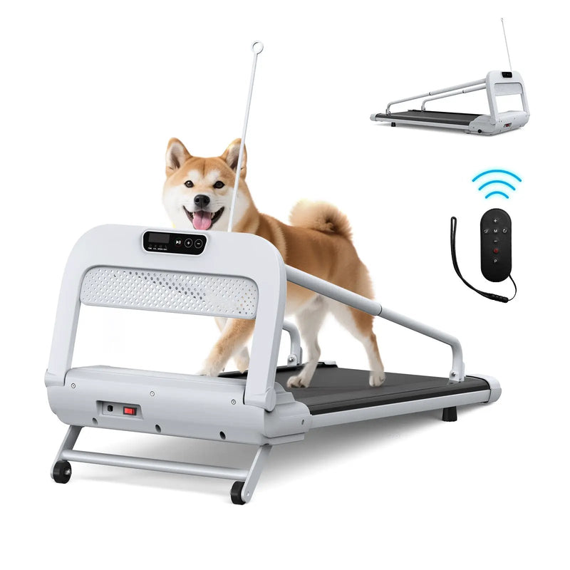 2025 New Quiet Smart Pet Treadmill by HouseOfZazla