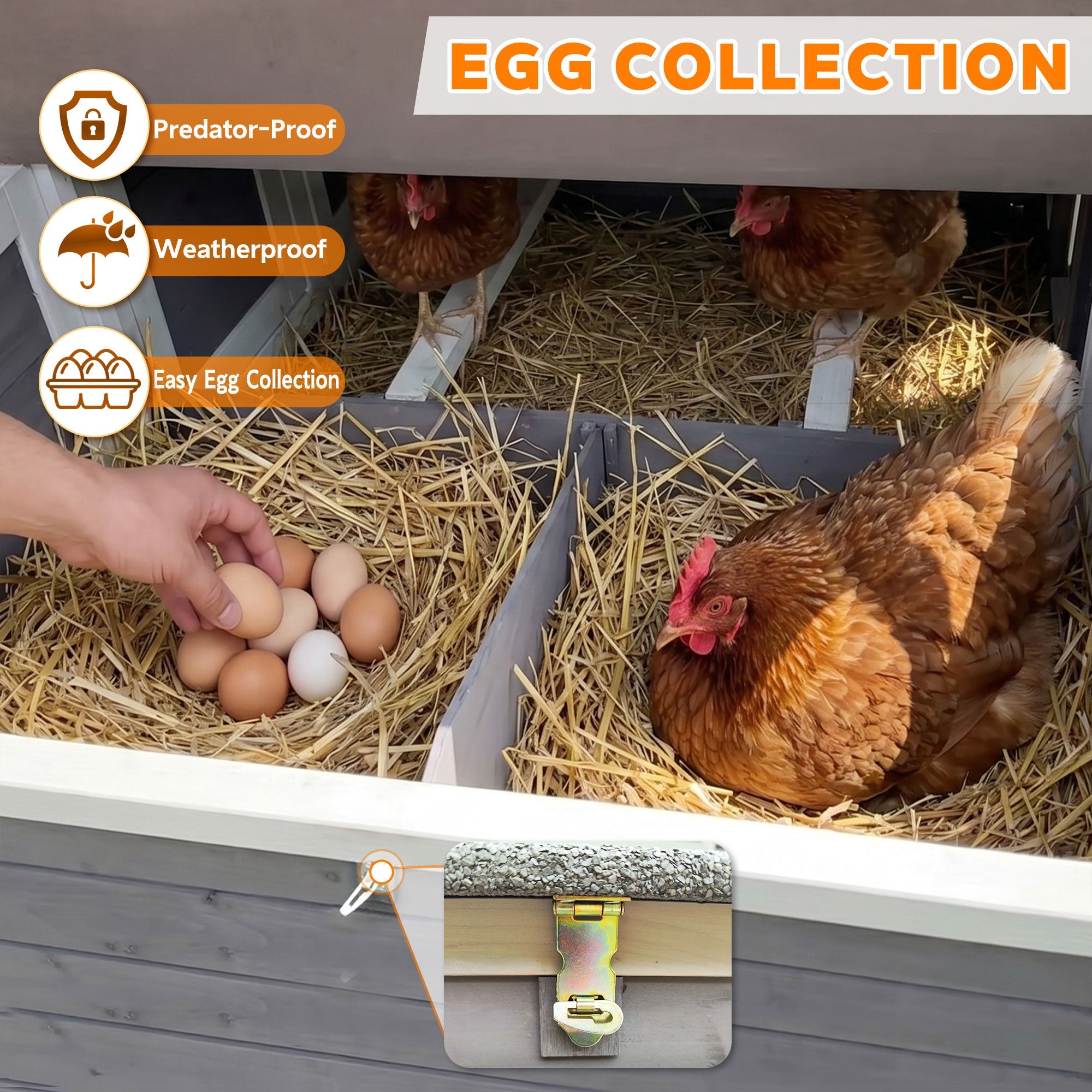150" Extra Large Wooden Chicken Coop by HouseOfZazla