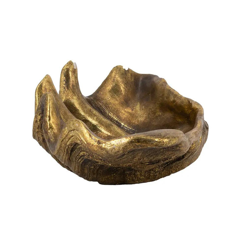 19.7x10.6x5.5" Decorative Shell Bowl by HouseOfZazla