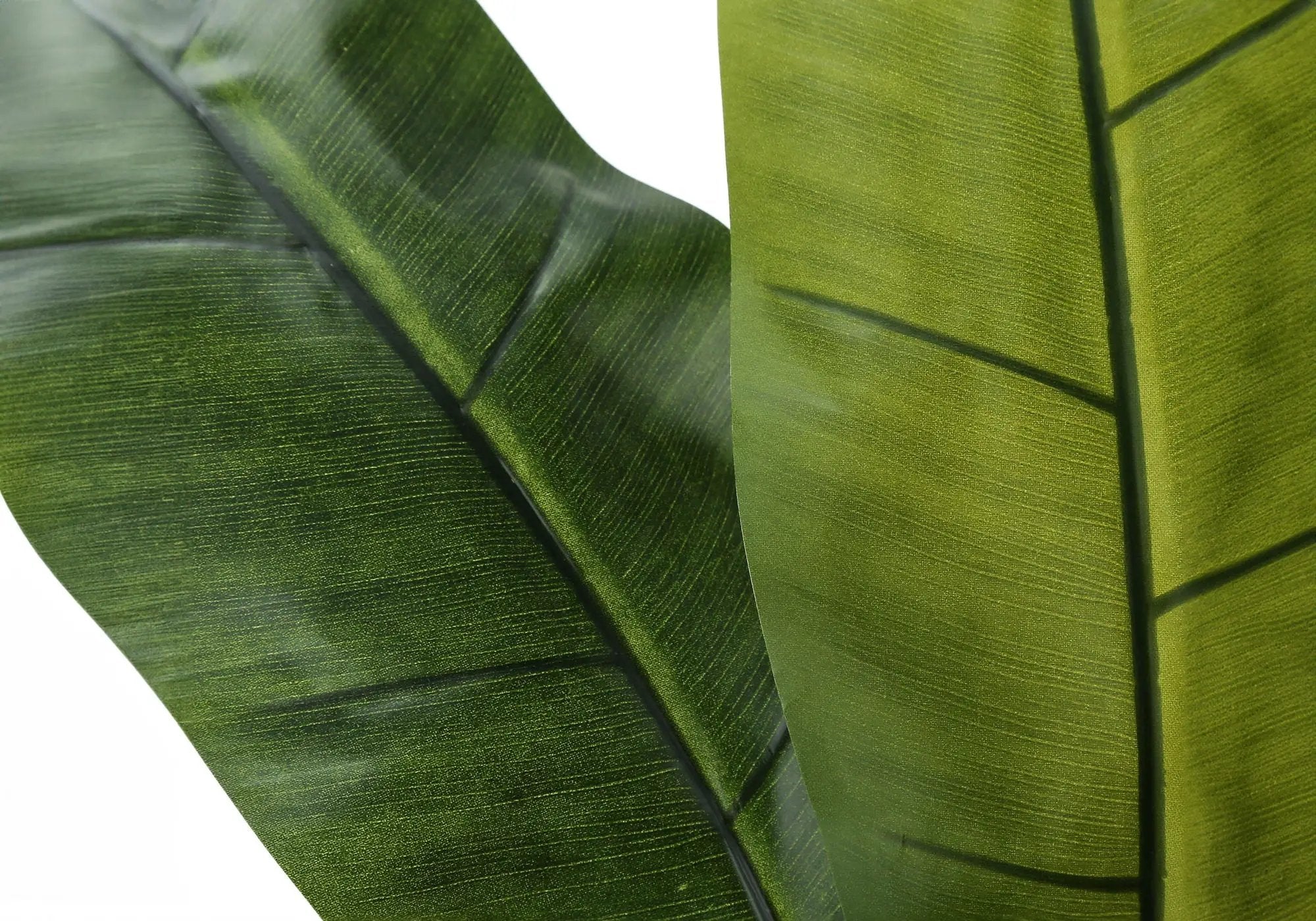 55" Tall, Artificial Plant, Banana Tree, Indoor, Faux, Fake, Floor, Greenery, Potted, Real Touch, Decorative - Green / Black by Unique Piece Furniture