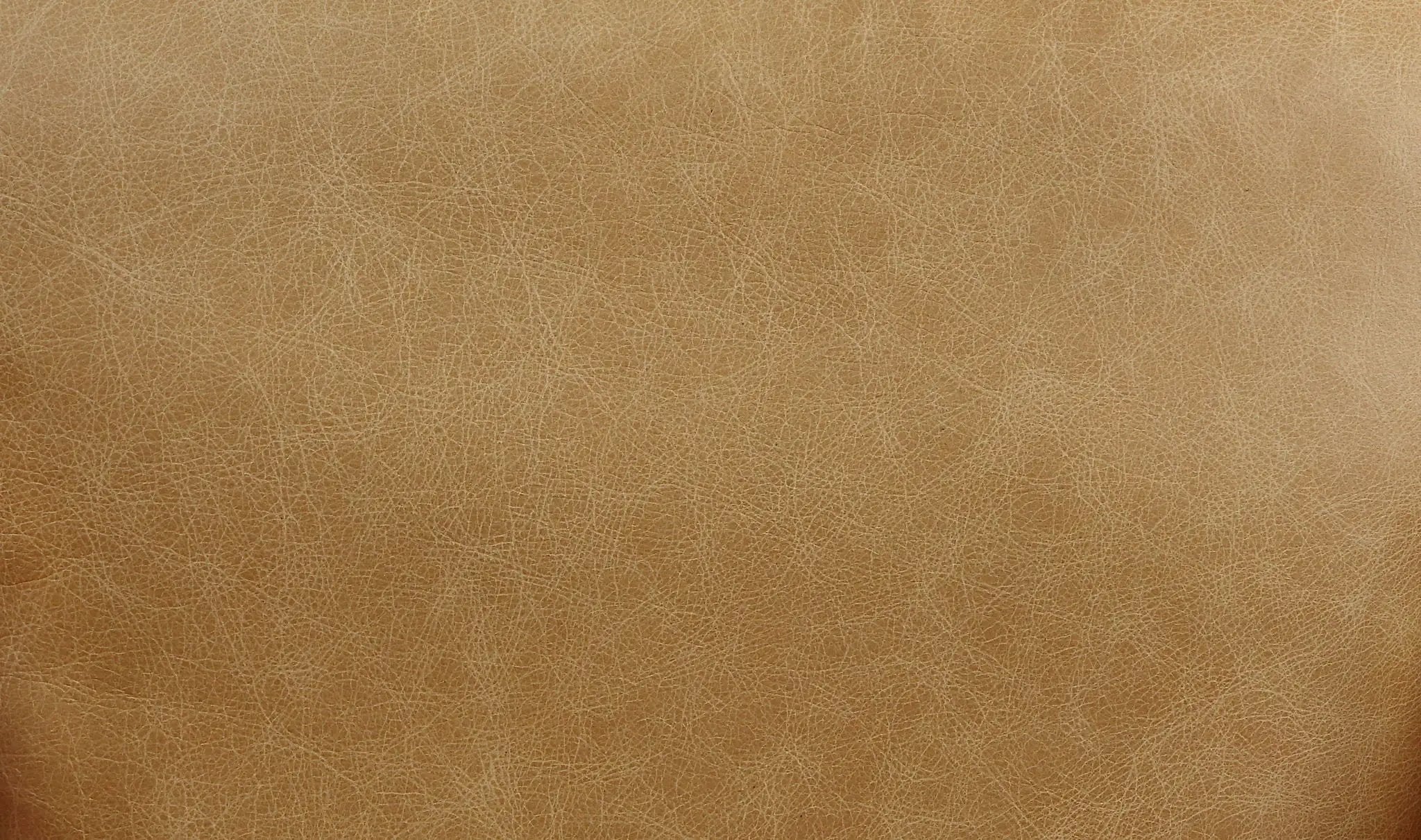 Pippin - Top Grain Leather Rocking Chair - Morocco by HouseOfZazla