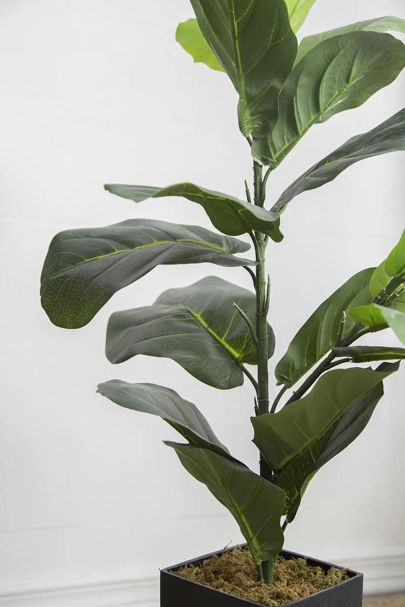 20x16x35" Artificial Fiddle-Leaf Fig Potted Plant by HouseOfZazla