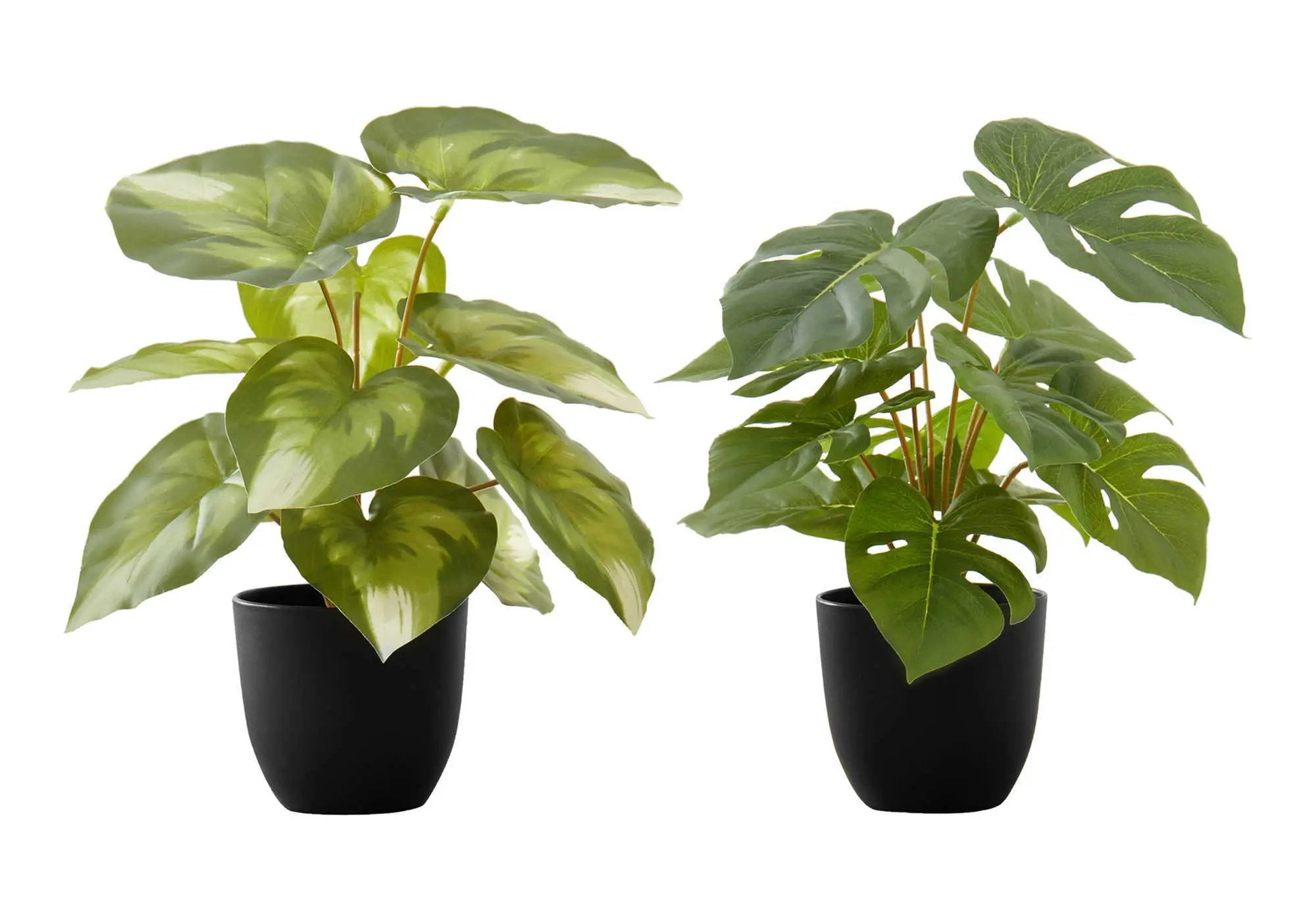 13" Tall, Artificial Plant, Monstera Calthea, Indoor, Faux, Fake, Table, Greenery, Potted, Decorative (Set of 2) - Green / Black by Unique Piece Furniture