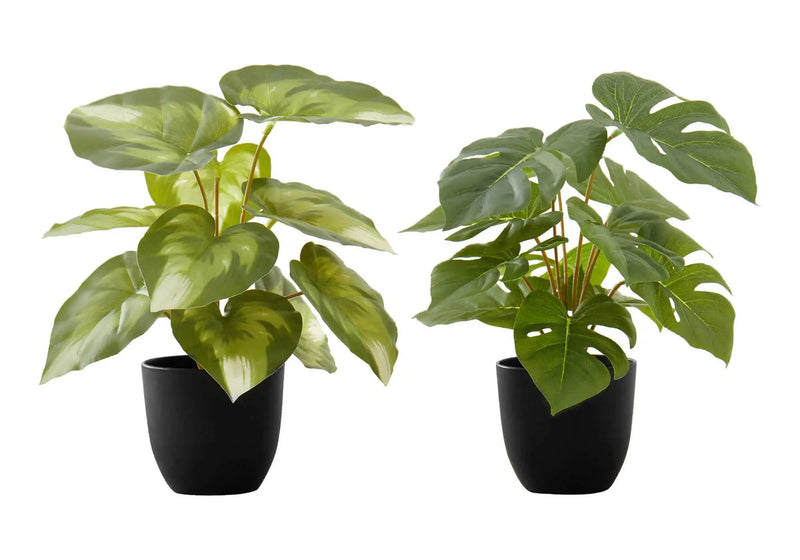 13" Tall, Artificial Plant, Monstera Calthea, Indoor, Faux, Fake, Table, Greenery, Potted, Decorative (Set of 2) - Green / Black by Unique Piece Furniture