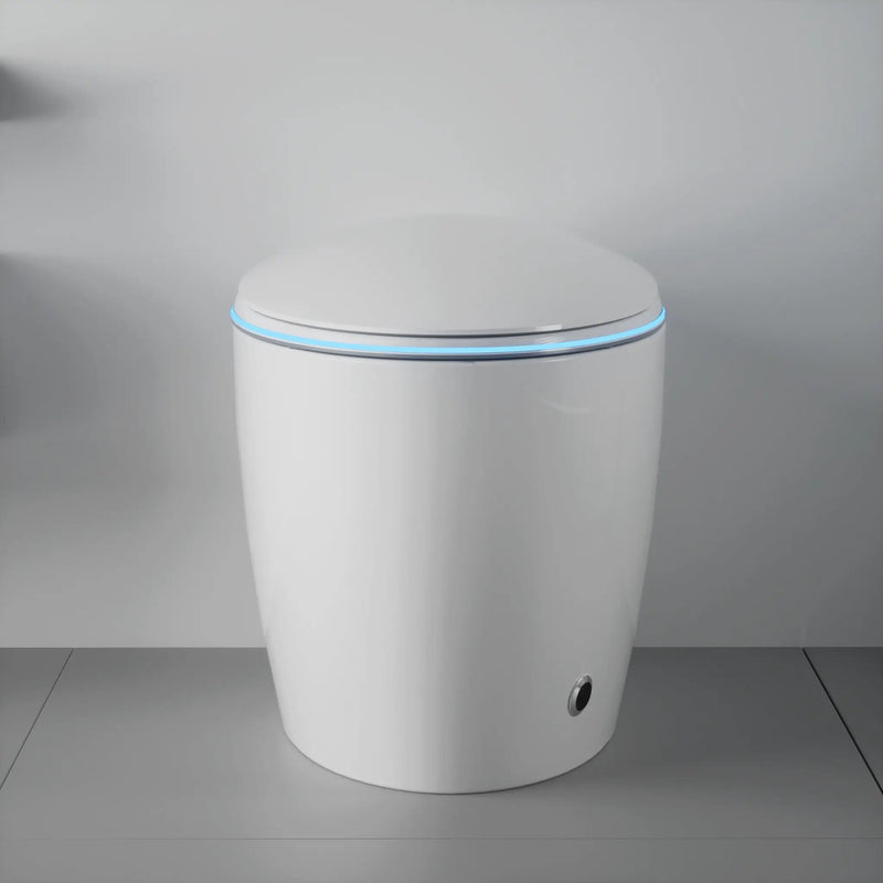 Unique Smart Toilet with Built-in Bidet by HouseOfZazla