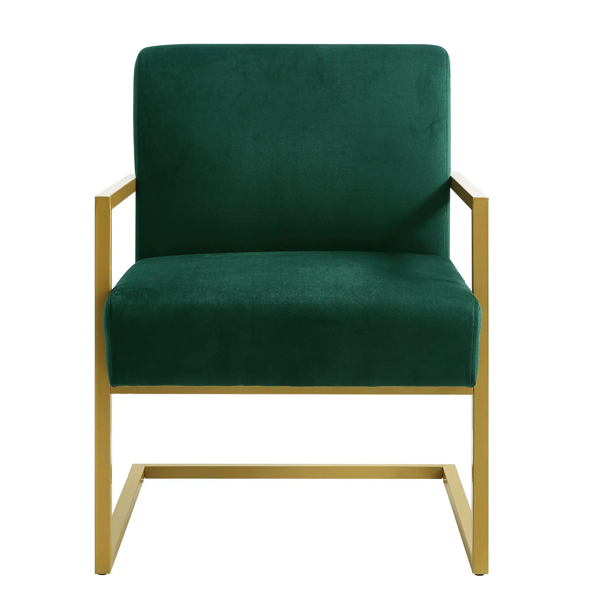 Fashion Velvet Accent Chair by HouseOfZazla