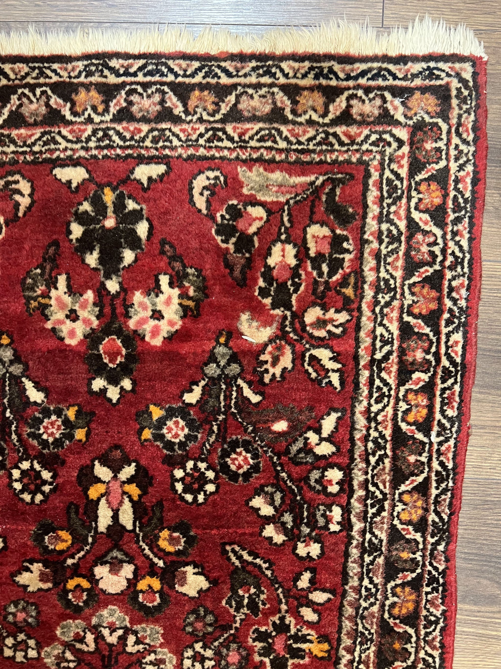 Small Persian Sarouk Rug 2x4 ft, Allover Floral Pattern, Red Black Cream, Hand Knotted Wool Traditional Oriental Carpet, Antique Persian Rug 2 x 4 by Jewel Rugs