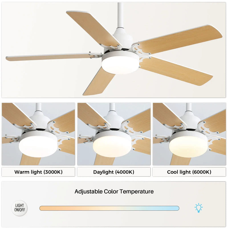 Modern Ceiling Fan With 3 Color Dimmable Light 5 Blades Remote Control Reversible Dc Motor - White by Unique Piece Furniture