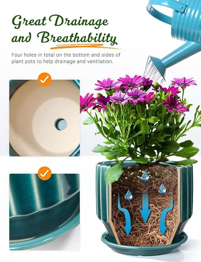 AISBUGUR Plant Pots 6 inch Ceramic Pots for Indoor Plants Set of 2 Flower Pots Unique Crackle Glaze Design Plant Pots with Drainage Hole and Saucer Come with Drainage Nets (Aqua Green) by GreenHaven Gardens