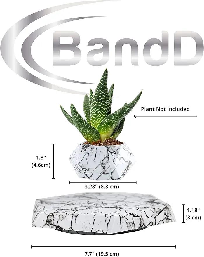 BandD Plant Pot for Succulents, air Bonsai & air Plants. Planter for Home, Office & Desk Decor. Magnetic Floating Levitating Display. (Marble) by GreenHaven Gardens