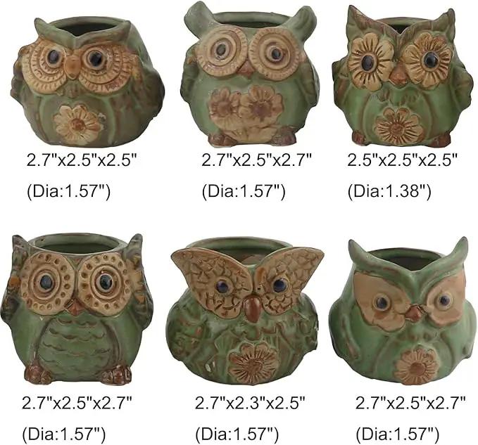 Ogrmar 6Pack Owl Plant Window Boxes Cute Owl Flower Pot/Modern Ceramic Succulent Planter Pots/Tiny Flower Plant Containers Animal Decor by GreenHaven Gardens