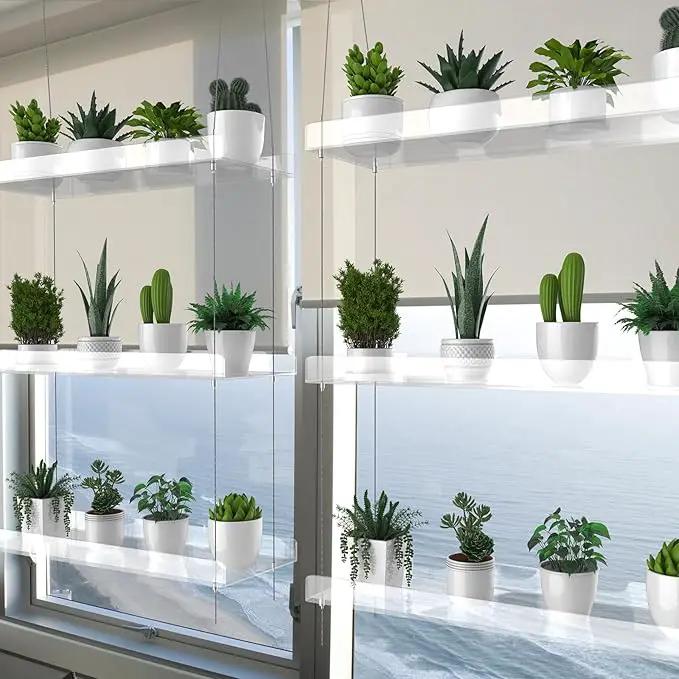 3-Tier Hanging Clear Plant Shelves for Windows, Acrylic Window Wall Plant Stand Shelf for Kitchen Indoor Gardens, Flower, Succulents, Herb, Seedling Organization, and Pots Display, 16 Inch per Tier by GreenHaven Gardens