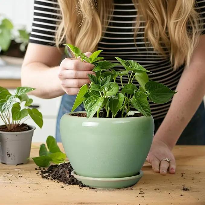 6 Inch Plant Pot - Ceramic Planter for Indoor Plants Round Planter Outdoor Plant Pot with Drainage Hole and Saucer Modern Flower Pot for Succulent Garden Green by GreenHaven Gardens