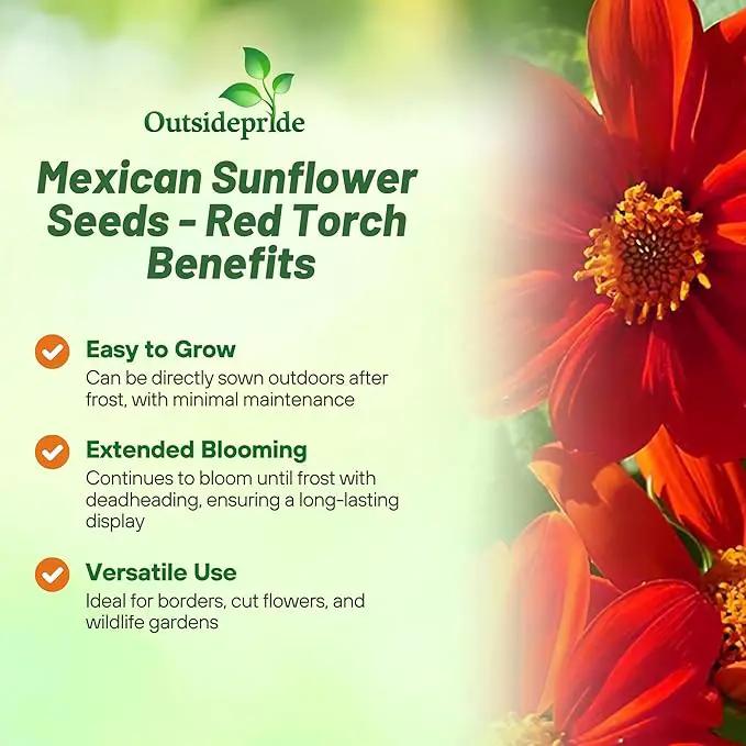 Outsidepride Red Torch Mexican Sunflower Seeds - 2000 Seeds Annual Tithonia, Fast-Growing, Heat & Drought-Tolerant Flower Seeds for Pollinator Gardens, Landscapes, & Flower Arrangements (AAS Winner) by GreenHaven Gardens