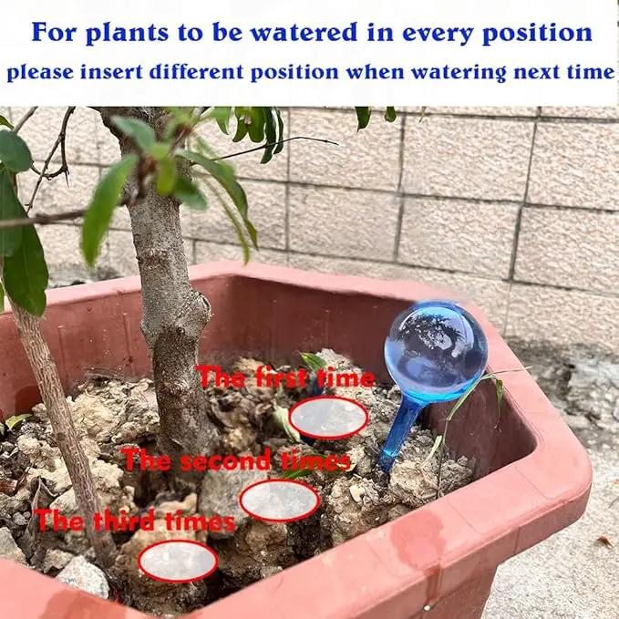 MOONSOUND Small Plant Watering Globes, 6pcs Plastic Plant Watering Devices, Plant Waterer Self Watering Bulbs for Indoor Outdoor Plants by GreenHaven Gardens